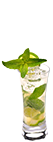 Perrier menthe mojito