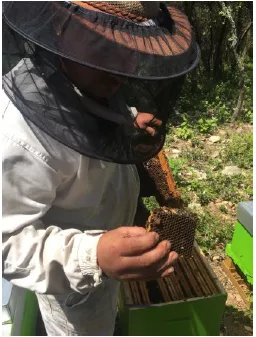 **