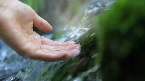 hand