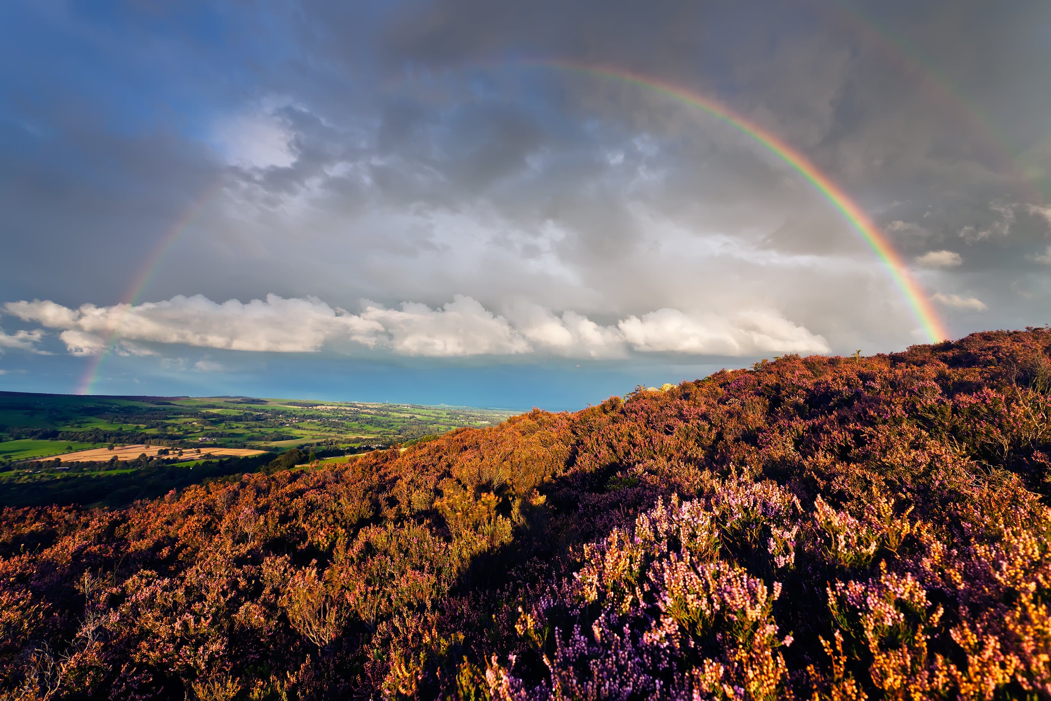 Autumn on Ilkley. There’s moor to discover than you think.