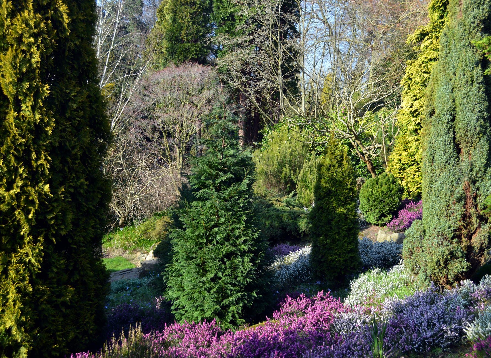  Enjoy a spring fling with Fletcher Moss