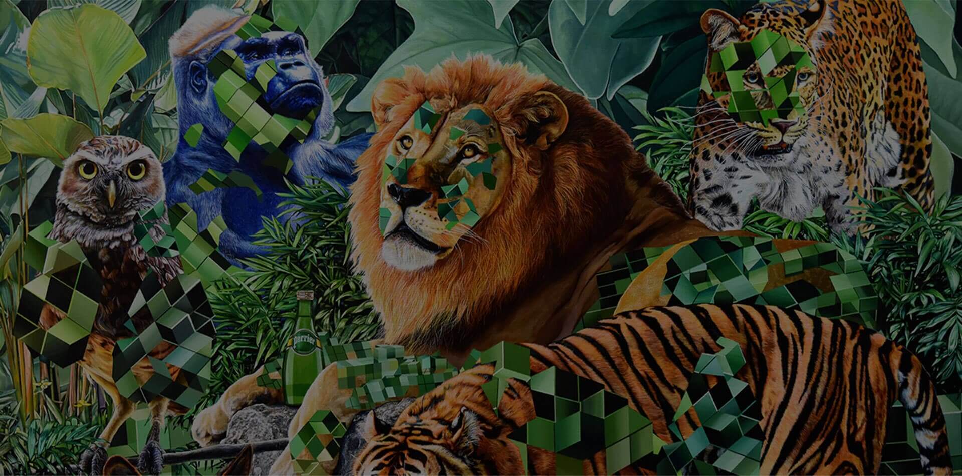 perrier-xwild-header-image